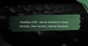 featured-image-headless-cms-server-solutions-cloud-services-own-servers-hybrid-solutions